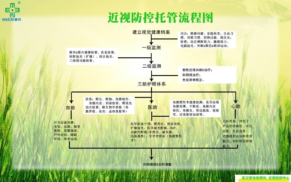 武汉视佳医眼科近视防控托管流程图